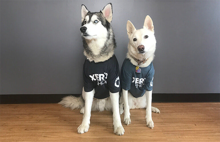 Xero T-Shirts - Image 4