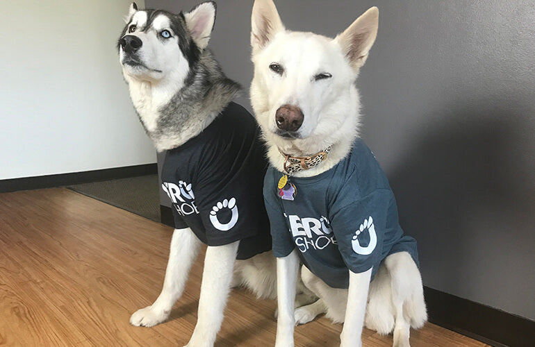 Xero T-Shirts - Image 5